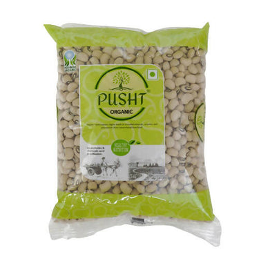 https://cdn.shopify.com/s/files/1/1857/6931/products/BMCg9ed6RX.jpg?v=1662025752